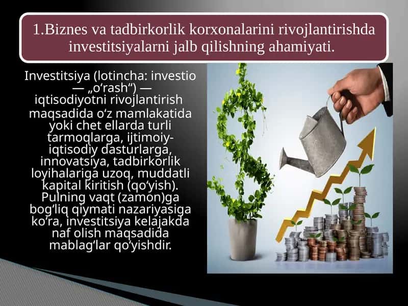 Investitsiya 1