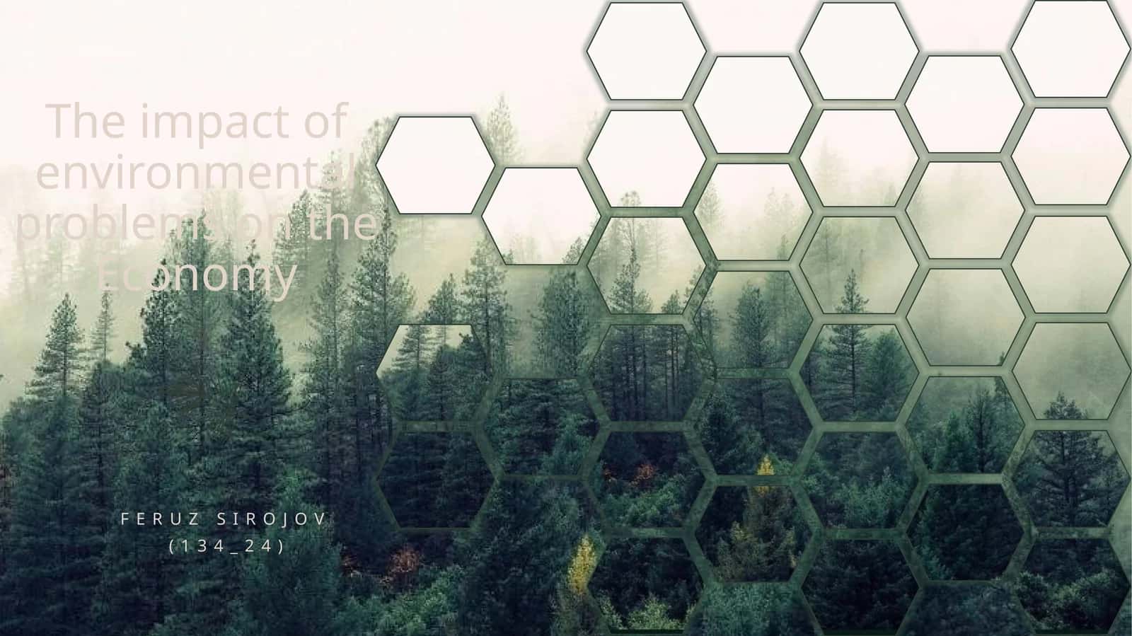 The impact of environmental problems on the Economy 1