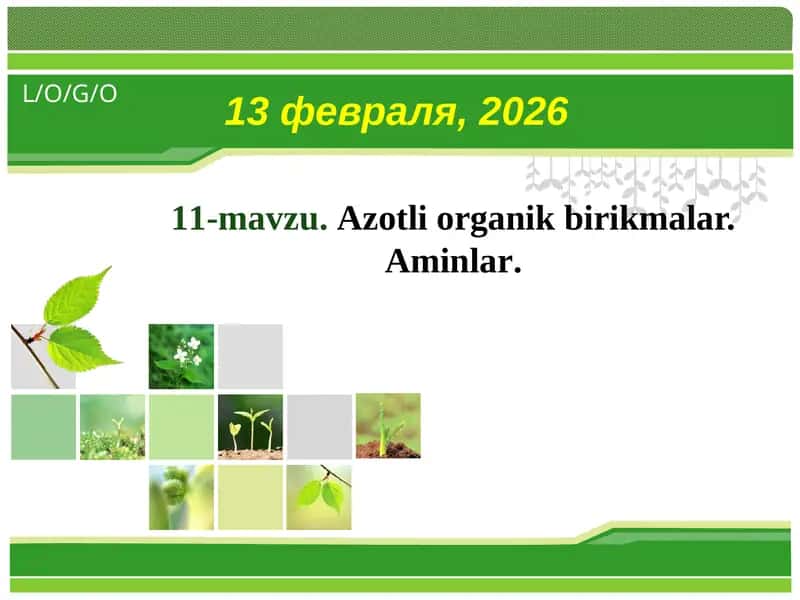 Аzоtli оrgаnik birikmаlаr. Аminlаr 1