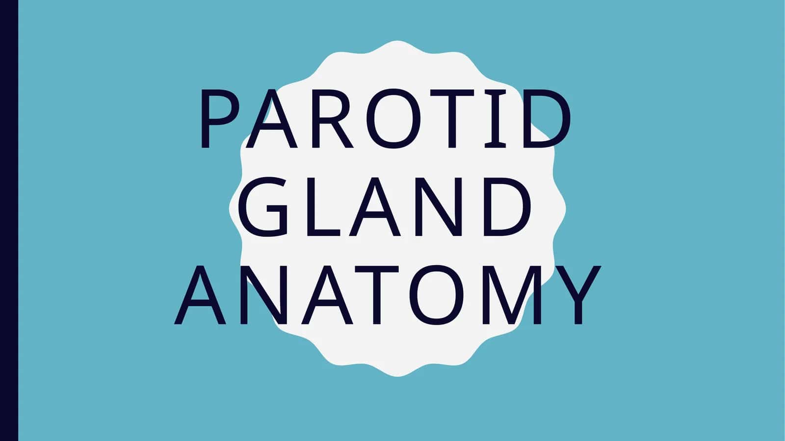 Parotid gland anatomy 1