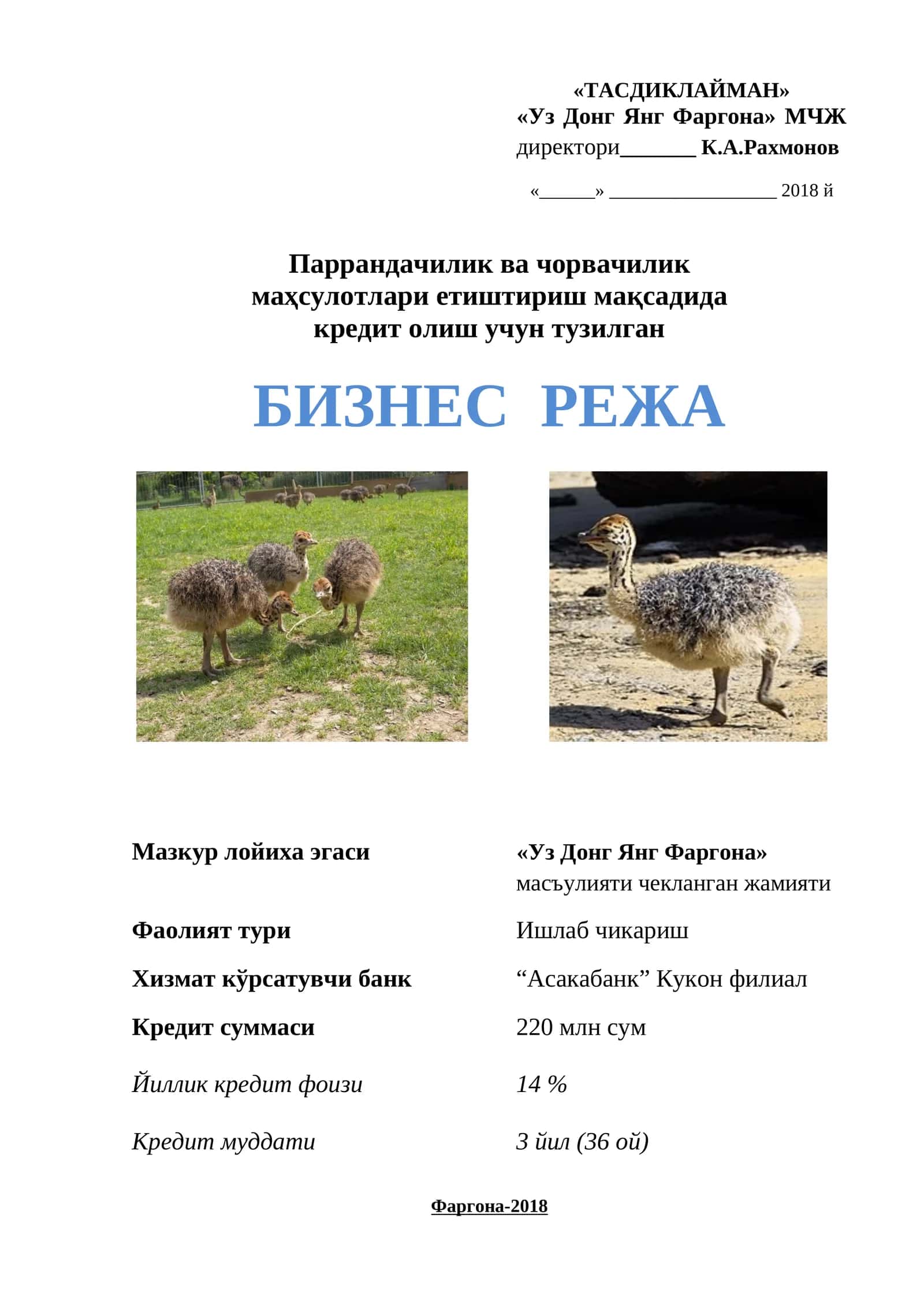 Tuyaqush biznes reja 1