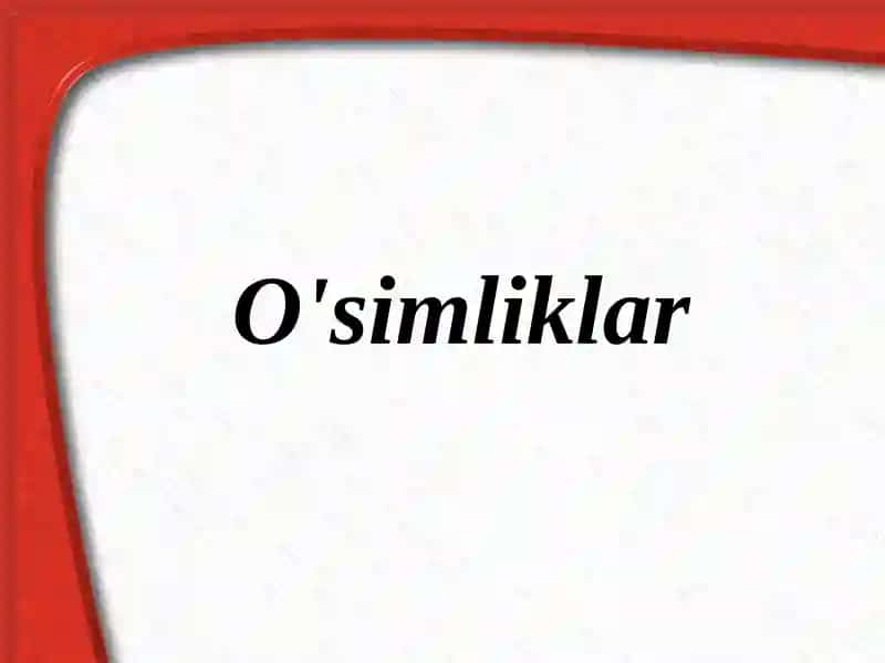 O'simliklar