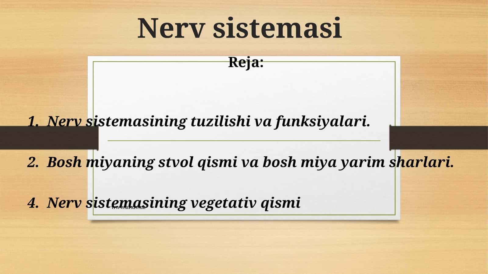 Nеrv sistеmаsi 1