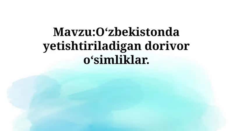 O‘zbekistonda yetishtiriladigan dorivor o‘simliklar 1