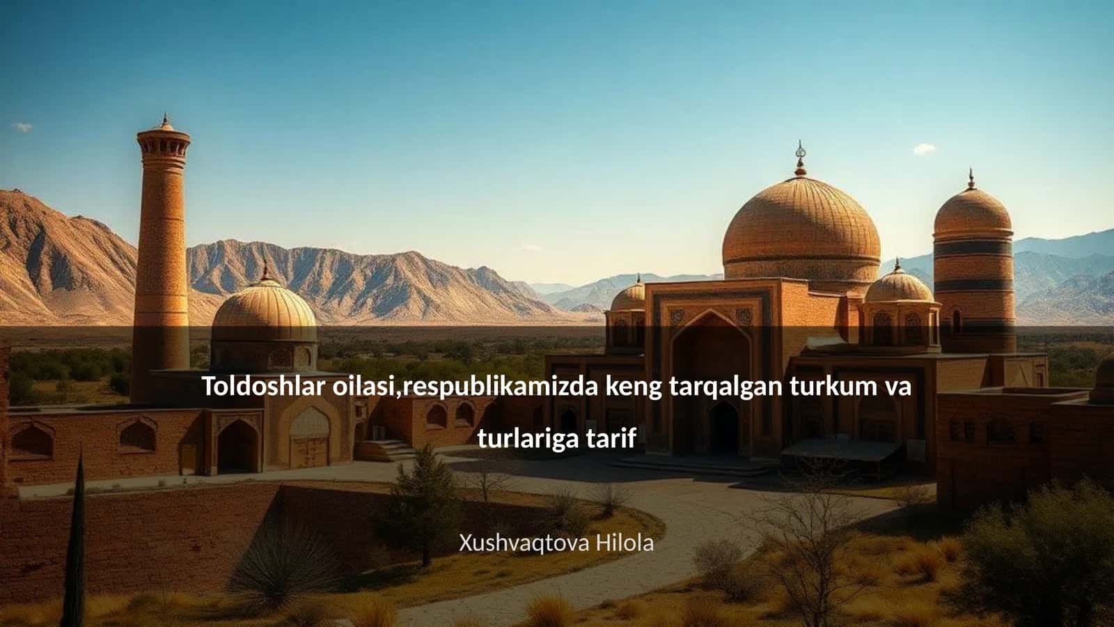 Toldoshlar oilasi 1