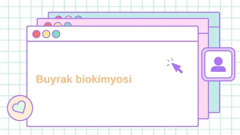 Buyrak biokimyosi 1