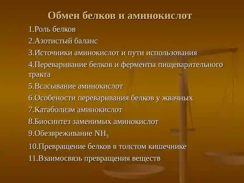 Обмен белков и аминокислот