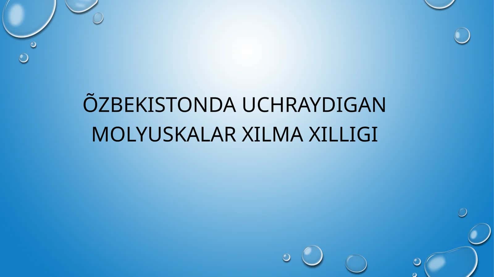 Qorinoyoqli mollyuskalar 1