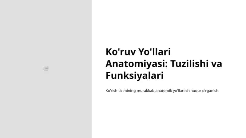 Ko'ruv Yo'llari Anatomiyasi: Tuzilishi va Funksiyalari 1