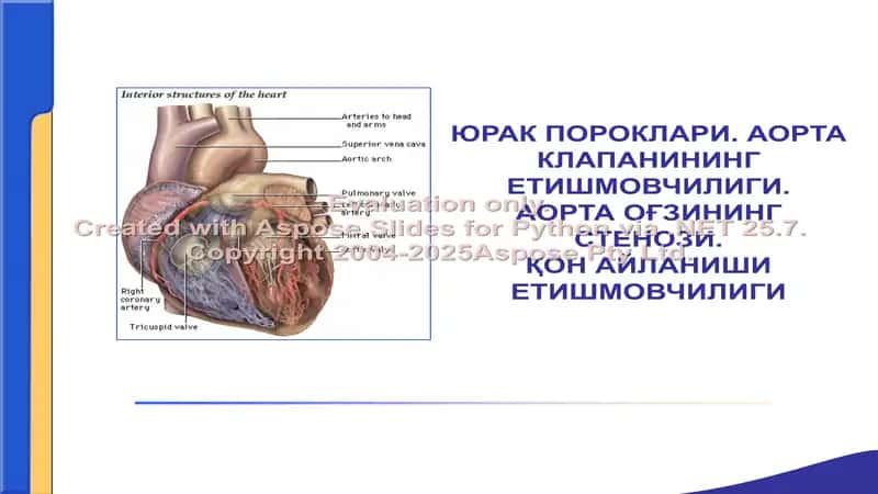 Аорта клапанининг етишмовчилиги 1