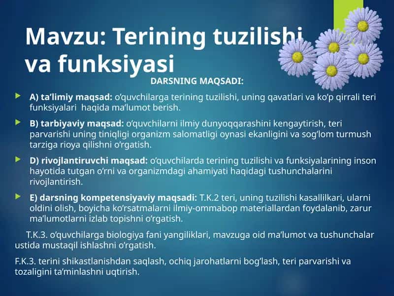 Terining tuzilishi va funksiyasi 1