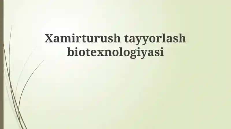 Xamirturushtayyorlash biotexnologiyasi