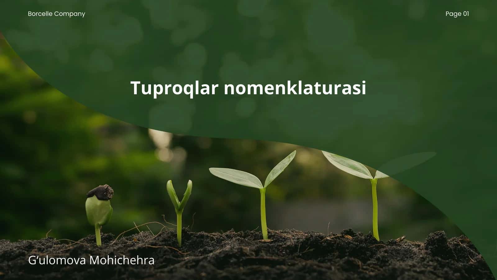 Tuproqlar nomenklaturasi 1