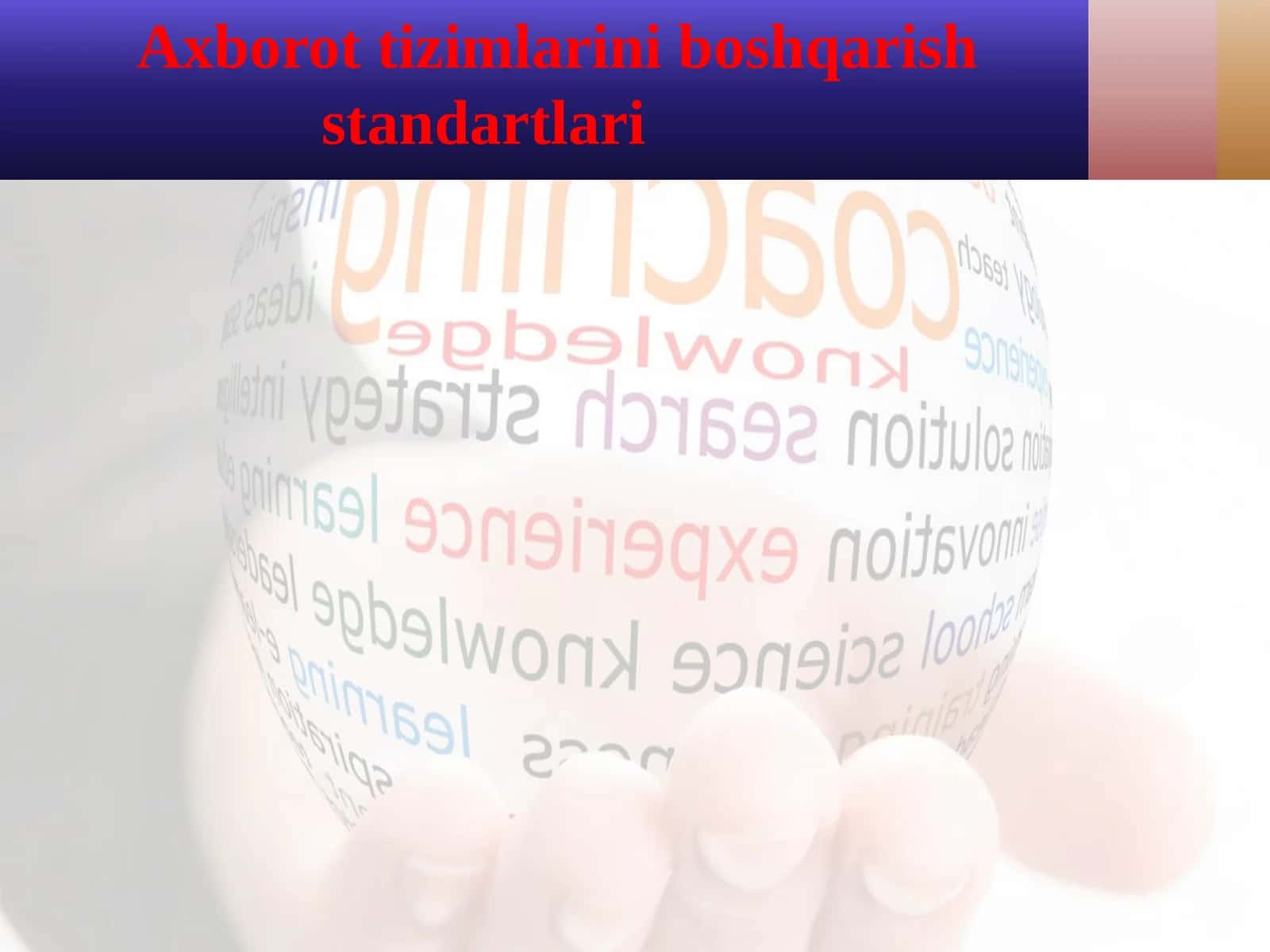 Axborot tizimlarini boshqarish standartlari 1