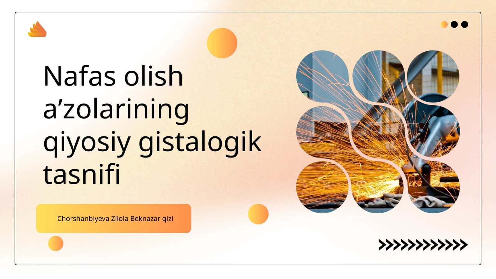 Nafas olish aʼzolarining qiyosiy gistalogik tasnifi 1