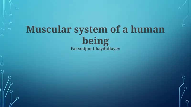 Muscular system of a human being 1