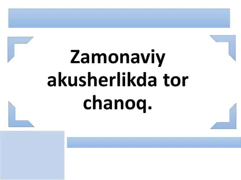 Zamonaviy akusherlikda Tor chanoq anatomiyasi 1