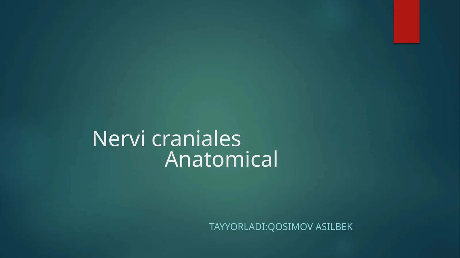 Nervi cranialesAnatomical 1