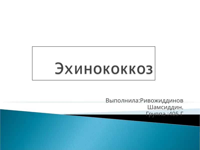 Гельминтоз человека и животных 1