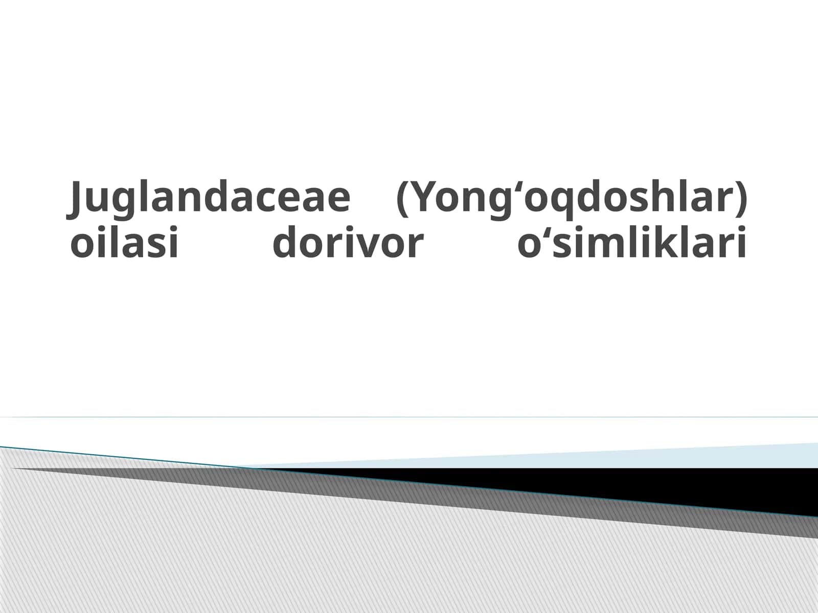 Yongʻoqdoshlar oilasi 1