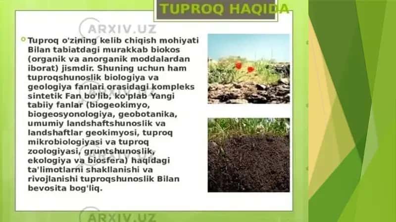 tuproq umumgeografik tavsifi 1