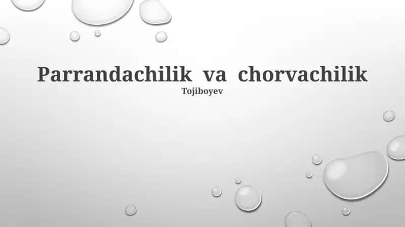 Parrandachilik va chorvachilik 1