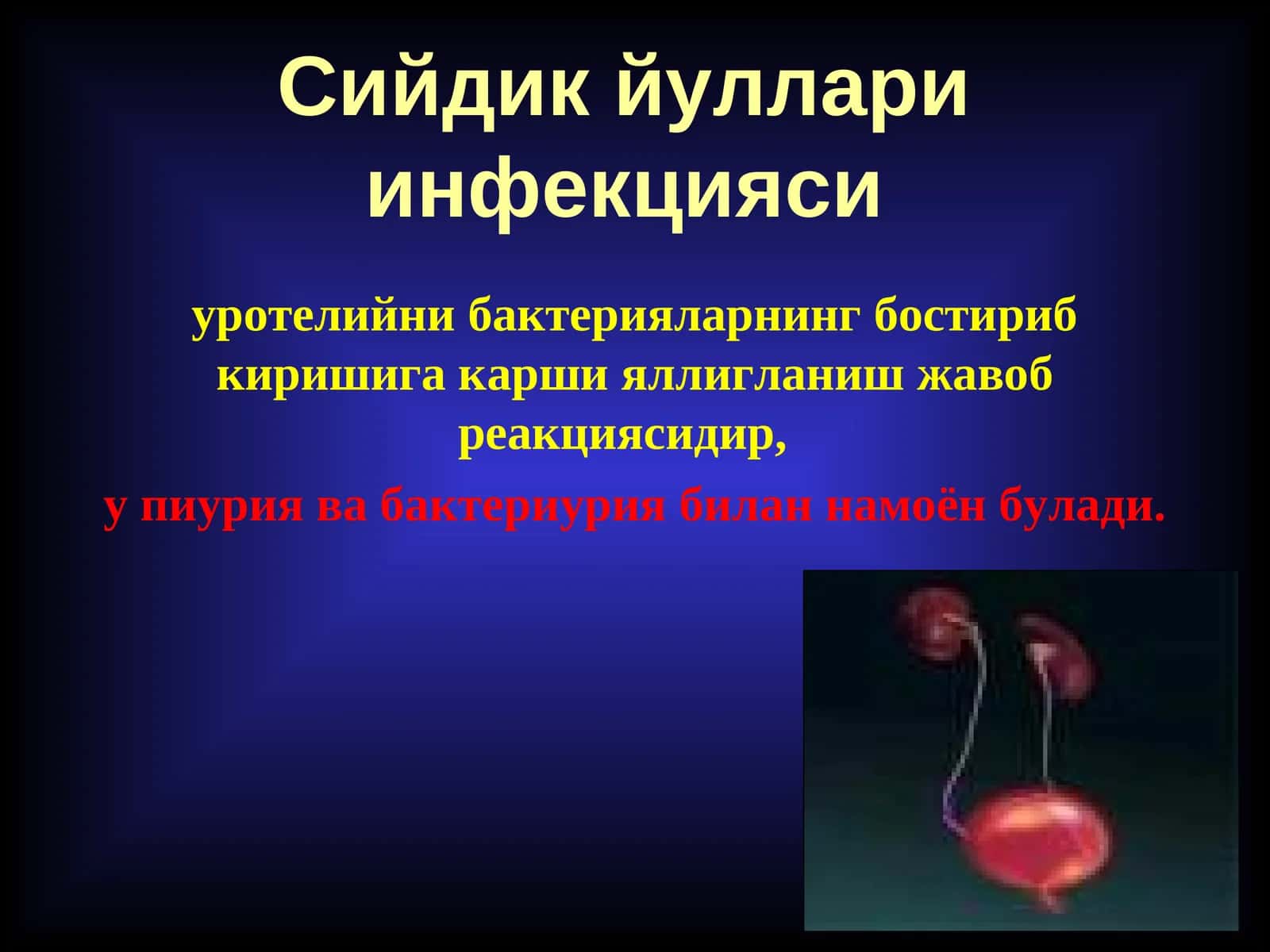 Сийдик йуллари инфекцияси 1