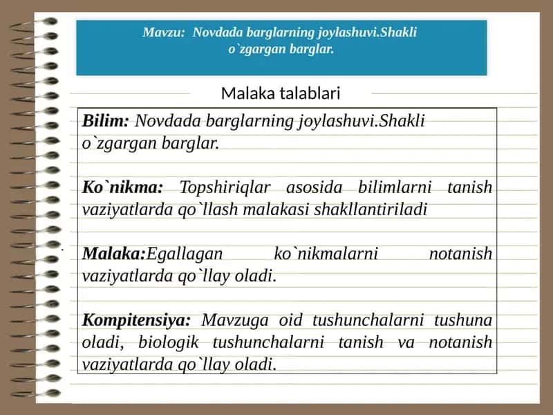 Novdada barglarning joylashuvi.Shakli  o`zgargan barglar. 1