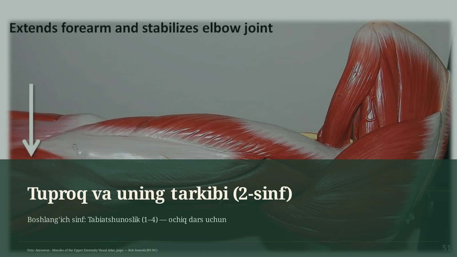 Tuproq va uning tarkibi (2-sinf) 1