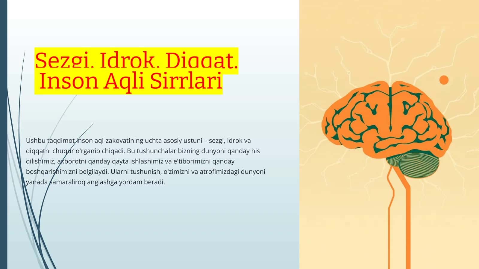 Sezgi, Idrok, Diqqat. Inson Aqli Sirrlari 1