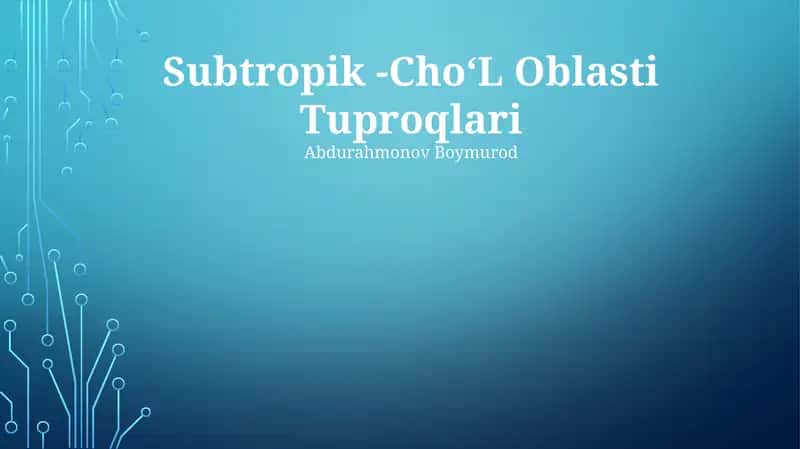 Subtropik choʻl tuproqlari 1