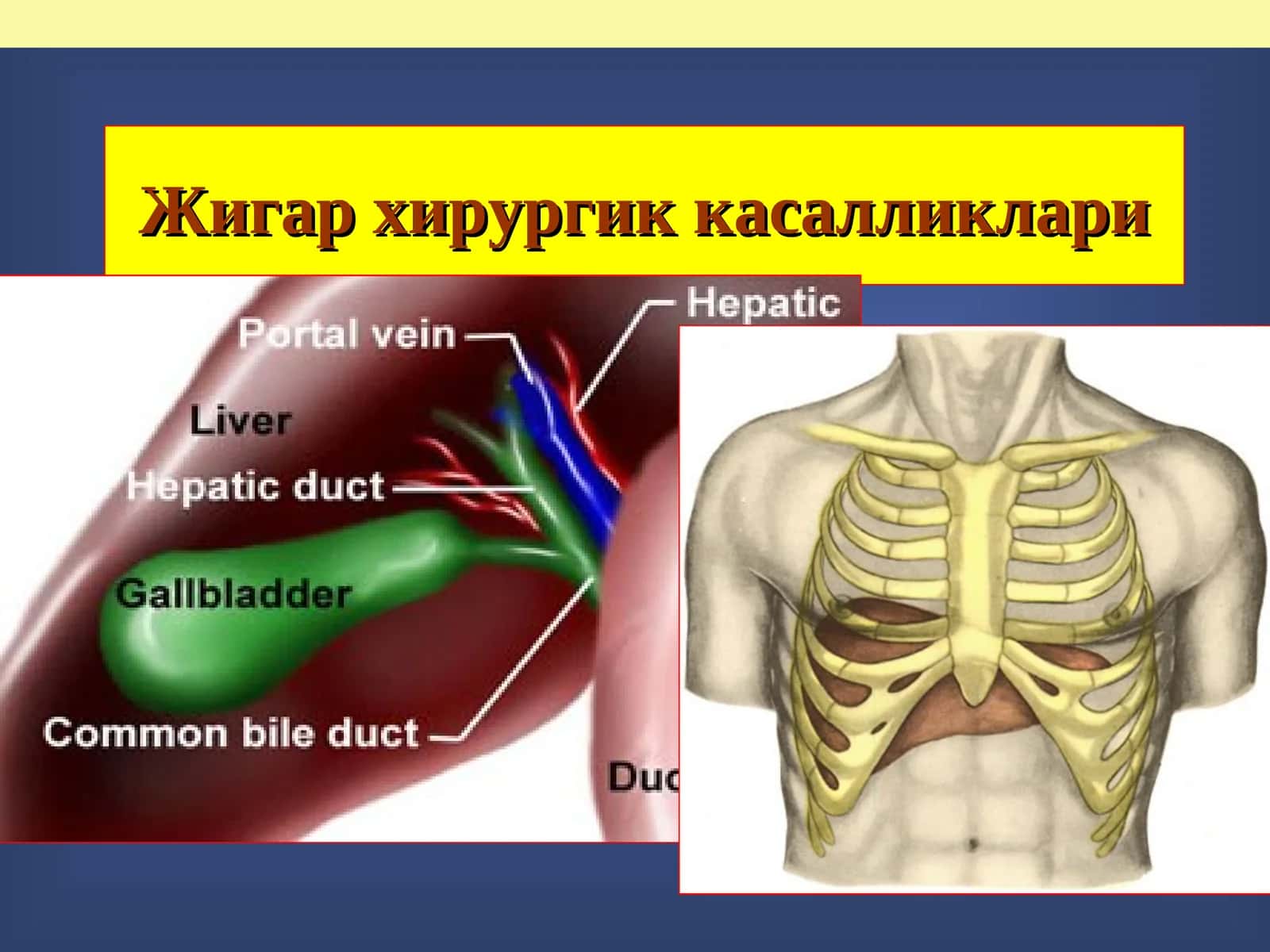 Жигар хирургик касалликлари 1