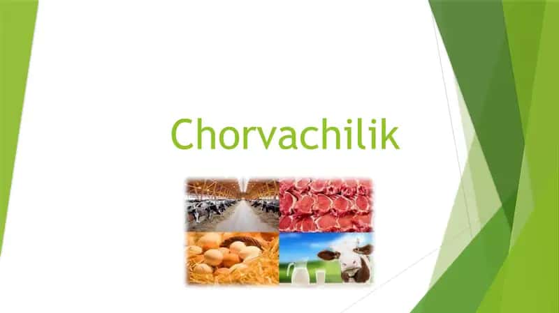 Chorvalik haqida slayd prezentatsiya 1