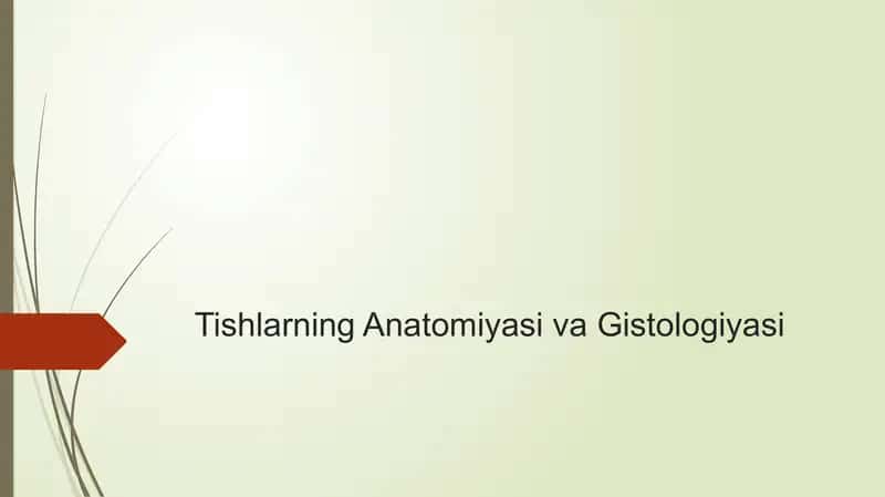 tishlar anatomiyasi va gistalogiyasi 1