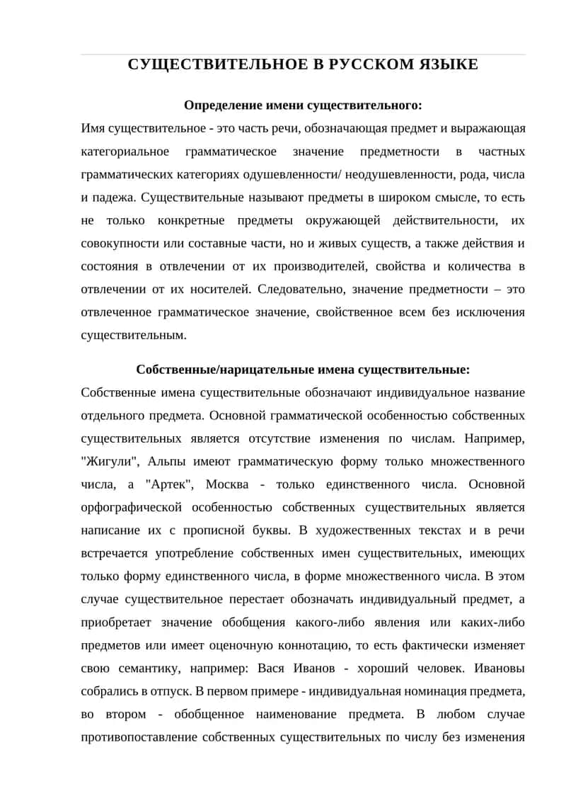 Существительное в русском языке 1