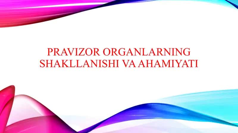 Pravizor organlarning shakllanishi va ahamiyati 1