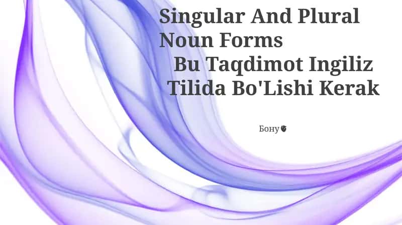 Singular And Plural Noun Forms 1