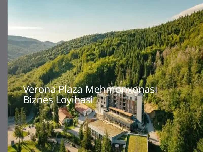 Verona Plaza Mehmonxonasi Biznes Loyihasi 1