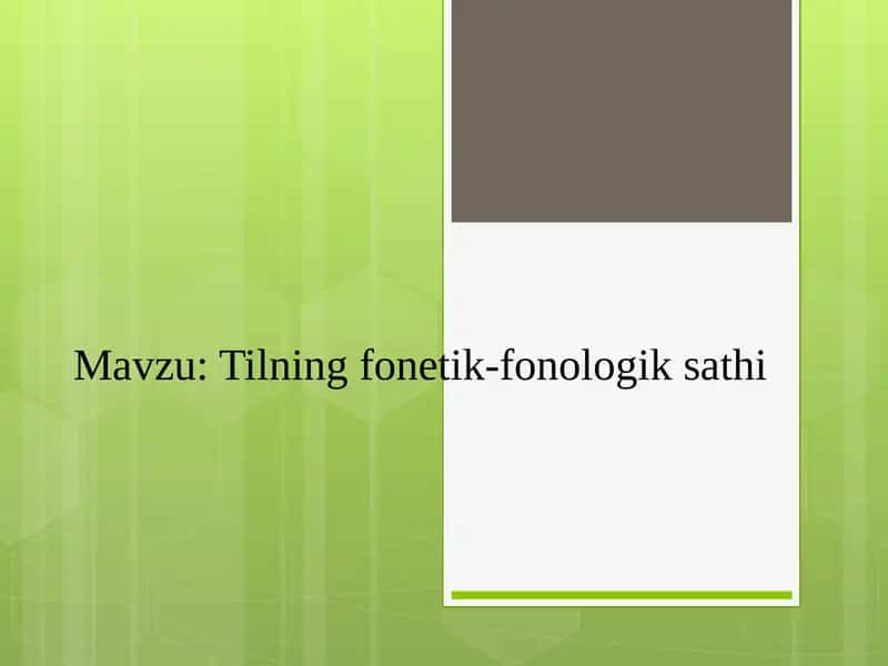 Tilning fonetik-fonologik sathi 1