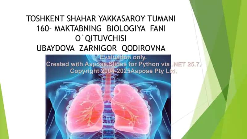 Nafas olish organlarining tuzilishi 1
