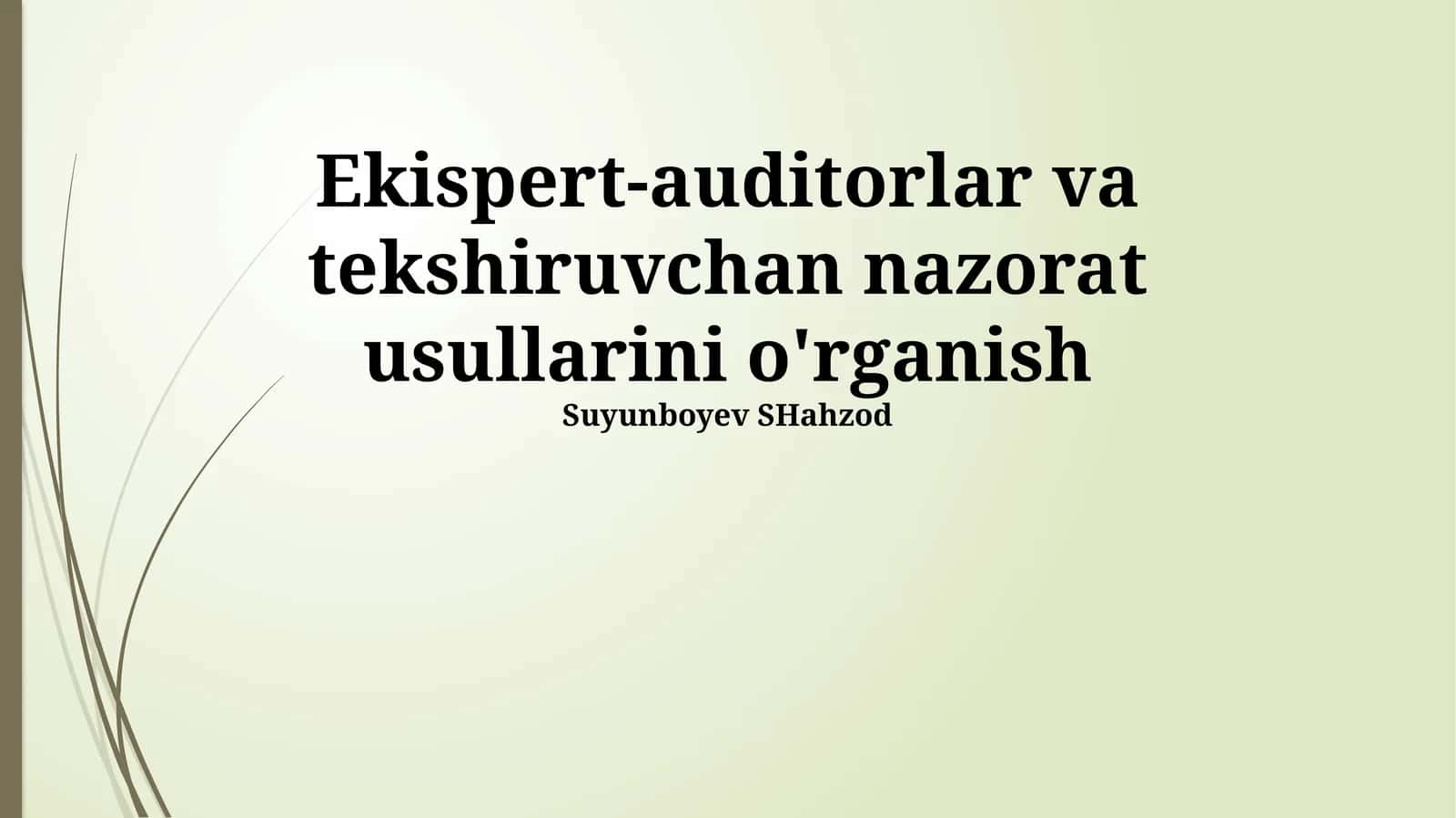 Ekispert-auditorlar va tekshiruvchan nazorat usullarini o'rganish 1