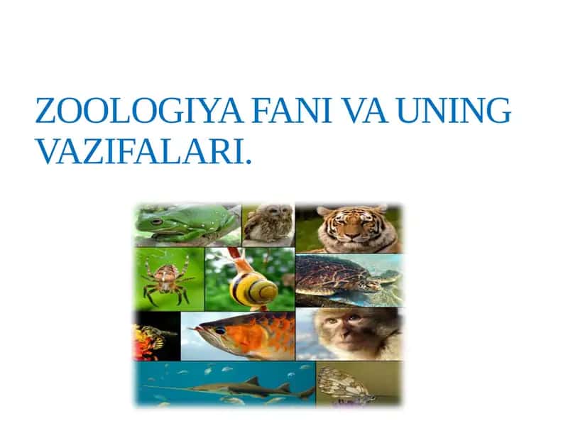 ZOOLOGIYA FANI VA UNING VAZIFALARI 1