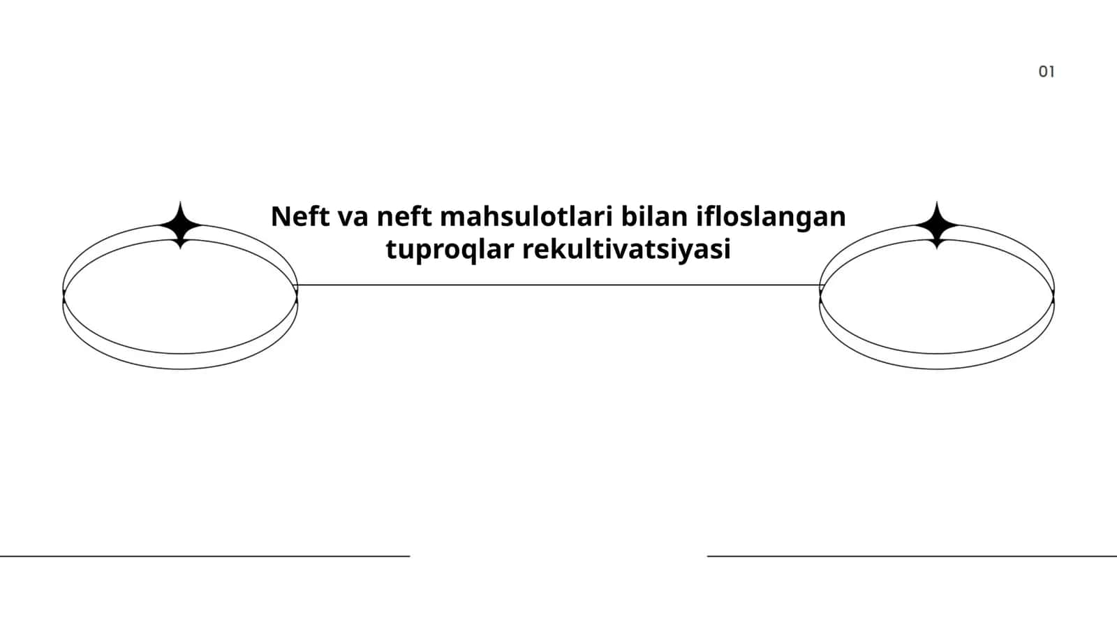 Neft va neft mahsulotlari bilan ifloslangan tuproqlar rekultivatsiyasi 1