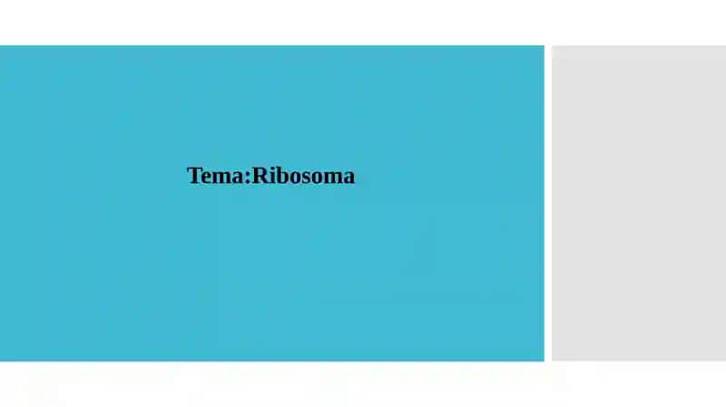 Ribasoma