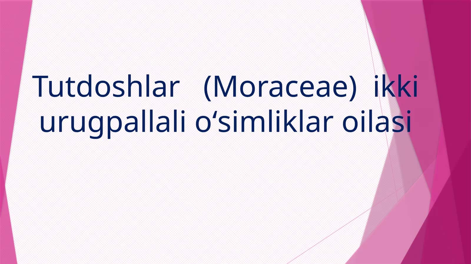 Tutdoshlar(Moraceae)ikkiurugpallalioʻsimliklaroilasi 1