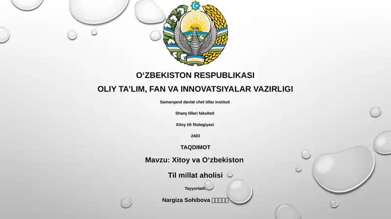 Xitoy va O'zbekiston: Tarix, Til va Madaniyat 1