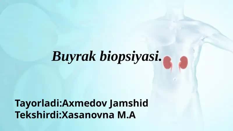 Buyrak biopsiyasi 1