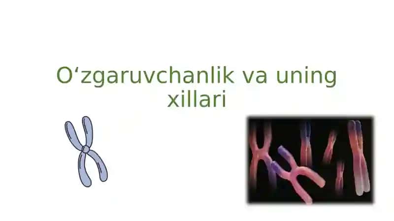 O‘zgaruvchanlik va uning xillari