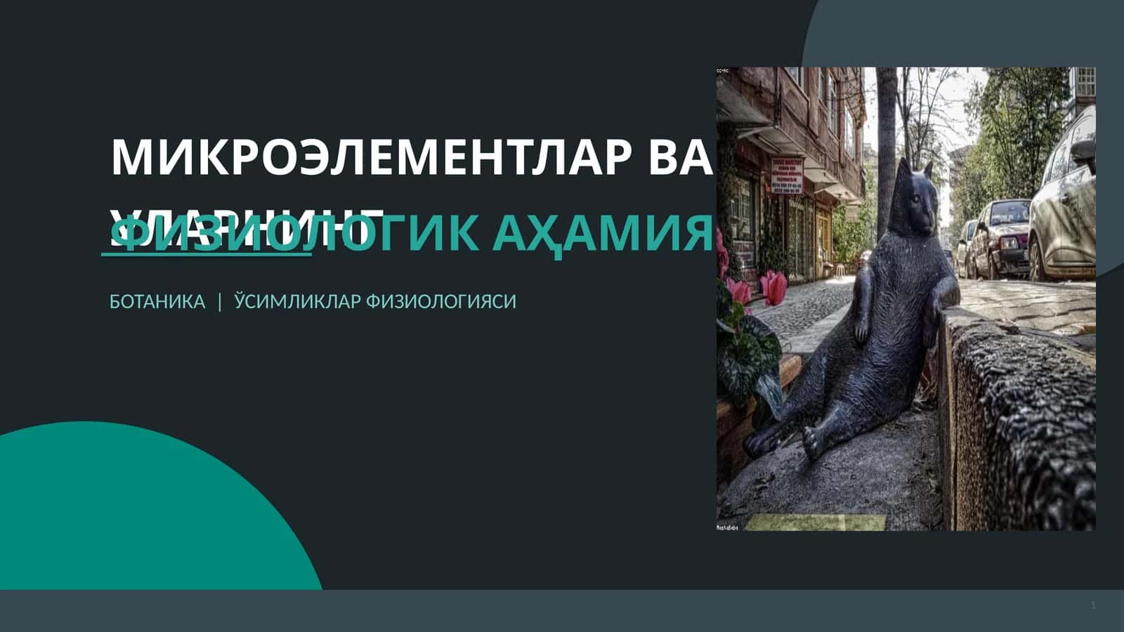 МИКРОЭЛЕМЕНТЛАР ВА УЛАРНИНГ ФИЗИОЛОГИК АҲАМИЯТИ 1