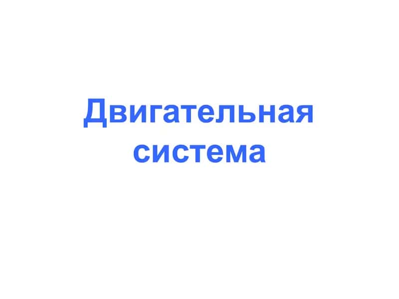 Двигательная система 1